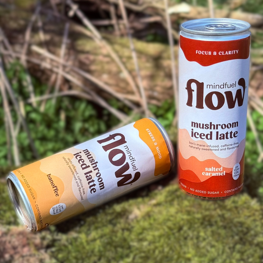 Lion's Mane Oat Latte - Salted Caramel 12x250ml