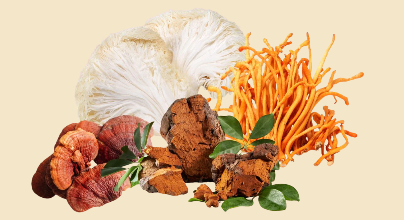 Adaptogens: the Word Everyone is Using and What It Actually Means | Mi ...
