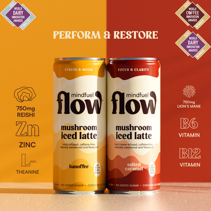 Lion's Mane + Reishi Oat Latte - Mixed pack