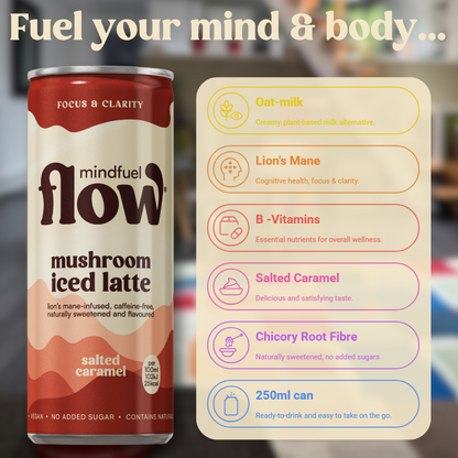 MINDFUEL FLOW Christmas gift 4x250ml