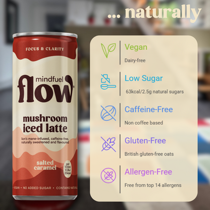 MINDFUEL FLOW Christmas gift 4x250ml