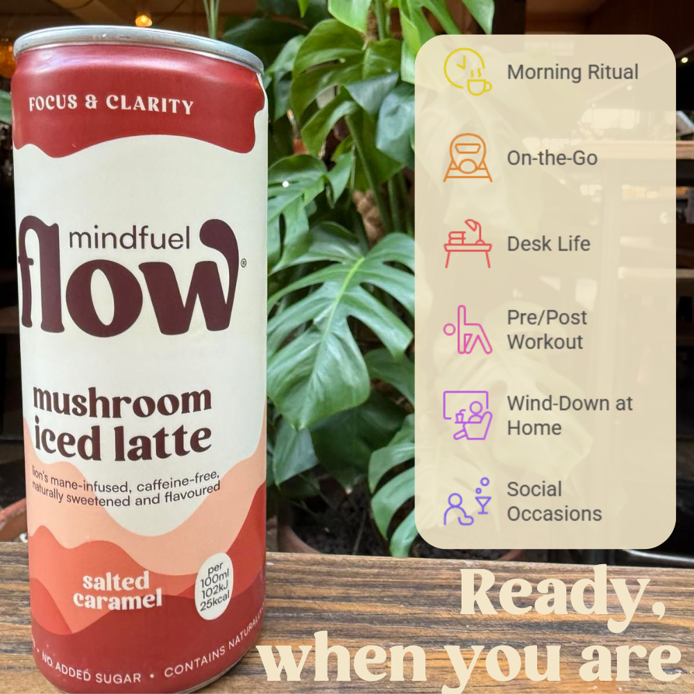 MINDFUEL FLOW Christmas gift 4x250ml
