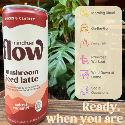 MINDFUEL FLOW Christmas gift 4x250ml