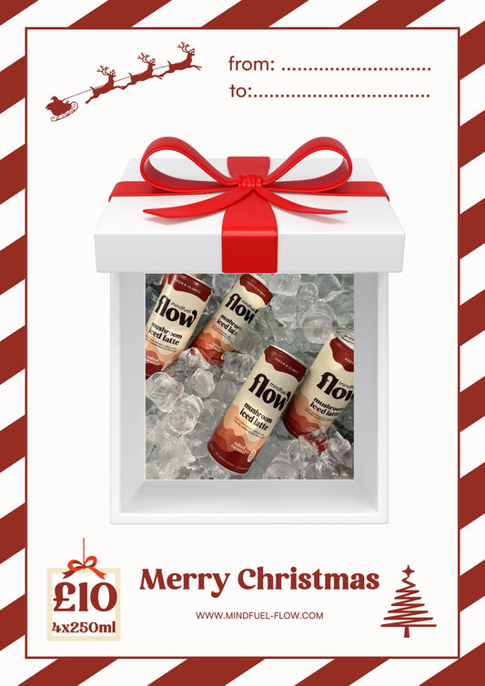 MINDFUEL FLOW Christmas gift 4x250ml